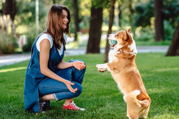 portrait-of-woman-with-dog-welsh-corgi-pembroke-FGH6B9Y.jpg portrait-of-woman-with-dog-welsh-corgi-pembroke-FGH6B9Y.jpg