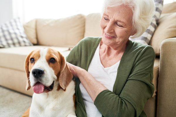 positive-senior-owner-stroking-dog-XWE279T.jpg positive-senior-owner-stroking-dog-XWE279T.jpg