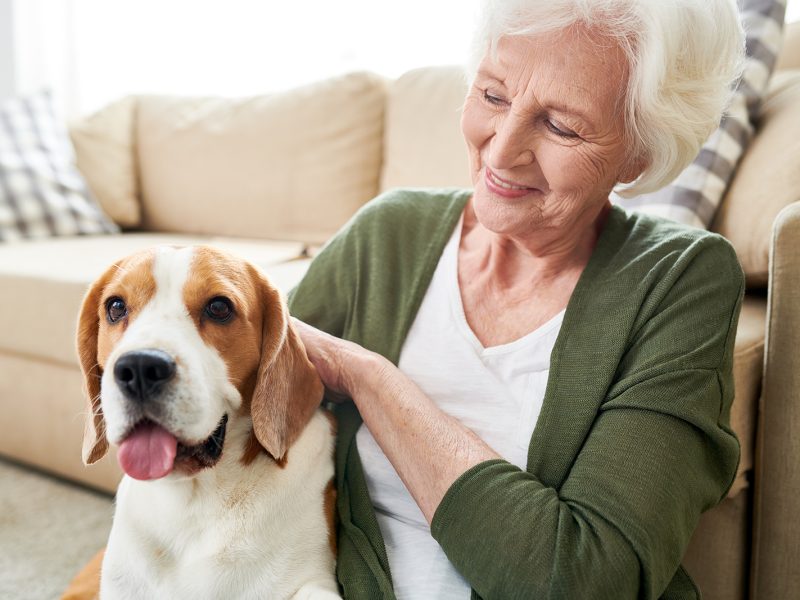 positive-senior-owner-stroking-dog-XWE279T.jpg positive-senior-owner-stroking-dog-XWE279T.jpg