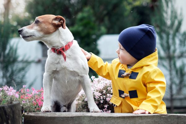 small-kid-with-dog-YC6WDXN.jpg small-kid-with-dog-YC6WDXN.jpg
